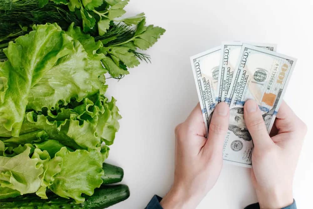 Czy dieta wegańska jest droga? Odkryj tanie opcje i porady budżetowe