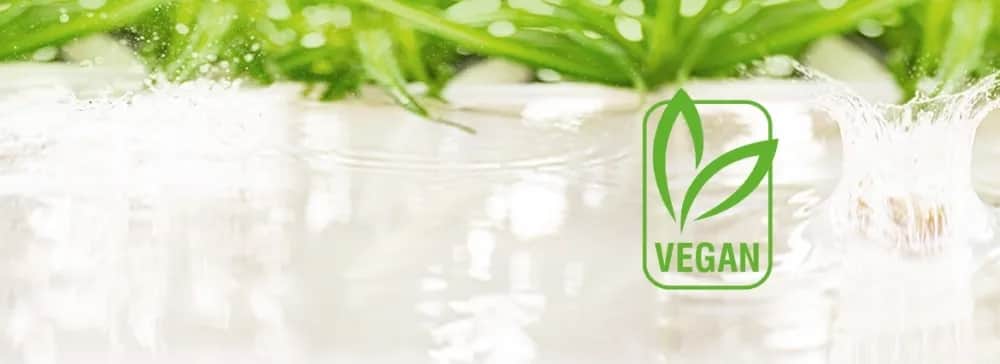 Kosmetyki wegańskie co to - poznaj ich skład i korzyści dla Ciebie
