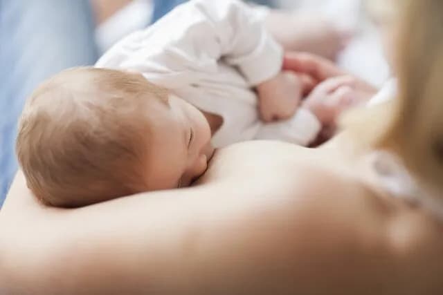 Czy mleko matki jest wegańskie? Zaskakujące fakty i mity o weganizmie